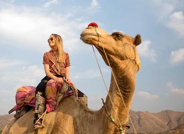 india/pushkar/attraction/bunty-camel-safari