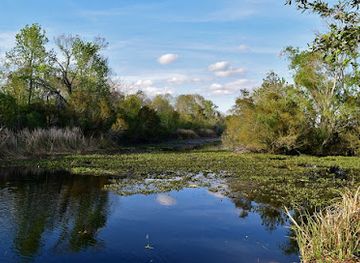 louisiana/bayou-country/attraction/barataria-preserve