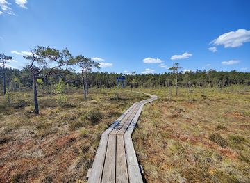 estonia/kuressaare/attraction/mullutu-loode-suurlahe-linnuvaatlusplatvorm