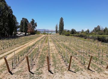 chile/o-higgins-region/attraction/vina-borde-lago