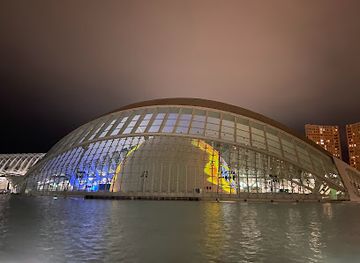 spain/valencian-community/attraction/lletres-de-valencia