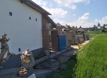 indonesia/bali/attraction/peliatan