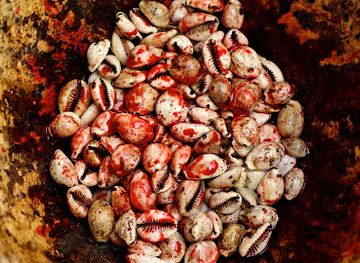 ghana/ewe/attraction/afrikan-magick-temple