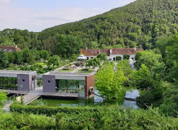 austria/burgenland/attraction/herberstein-tier-und-naturpark-schloss-herberstein-og