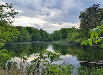 new-york/albany/attraction/albany-pine-bush-preserve