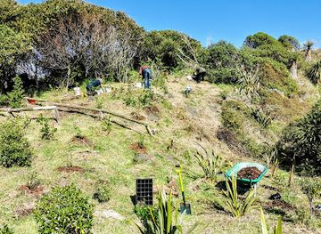 new-zealand/whanganui/attraction/castlecliff-beach