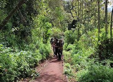 tanzania/moshi/attraction/lemosho-rte