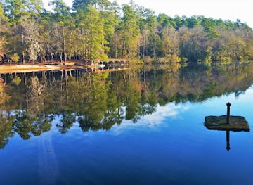 south-carolina/congaree-national-park/attraction/manchester-state-forest