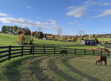 virginia/southwest-virginia/attraction/white-oak-lavender-farm-the-purple-wolf-vineyard