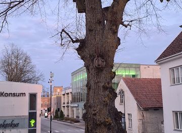 estonia/kuressaare-castle/attraction/raekoja-polisparn