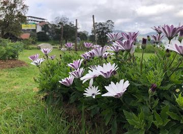 sri-lanka/horton-plains-national-park/attraction/gegory-lake-view-point