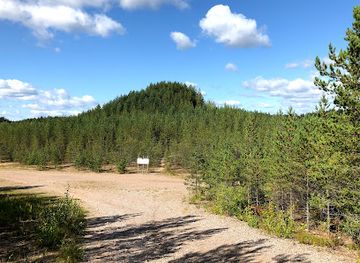 finland/pirkanmaa/attraction/tree-mountain