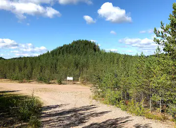 Tree Mountain