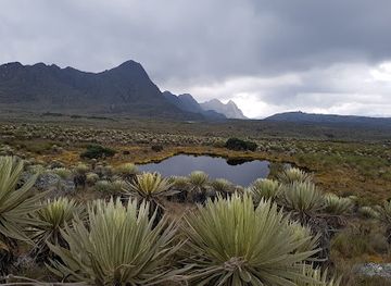 colombia/coffee-axis/attraction/walking-tour-bogota-by-the-true-colombian-experience