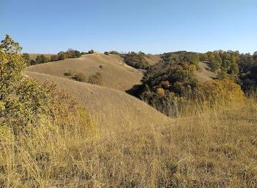 serbia/smederevo/attraction/deliblatska-pescara