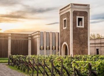 argentina/mendoza/attraction/bodega-los-toneles