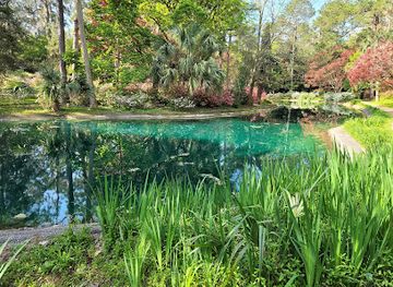 florida/tallahassee/attraction/alfred-b-maclay-gardens-state-park