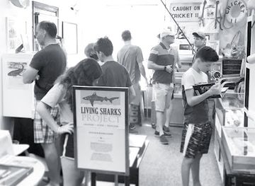 rhode-island/burlingame-state-park/attraction/living-sharks-museum