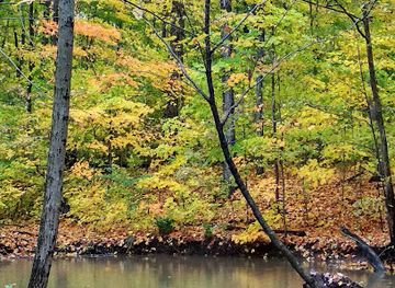 canada/okanagan/attraction/tansley-woods-park