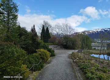 norway/tromso/tromsdalen/attraction/arctic-alpine-botanic-garden