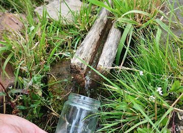 romania/harghita/attraction/izvorul-bukkitrukk