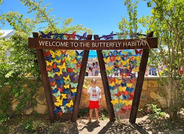 nevada/clark-county/attraction/butterfly-habitat