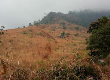 malawi/zomba-plateau/attraction/zomba-mountain
