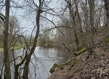 latvia/teici-nature-reserve/attraction/kalnrezs-cliffs