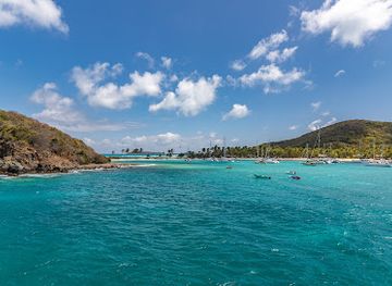 saint-vincent-and-the-grenadines/tobago-cays-marine-park/attraction/saline-beach