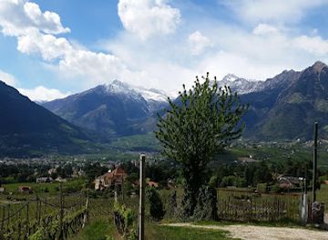 italy/alto-adige/attraction/castello-rametz-wine-museum