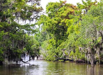 louisiana/bayou-country/attraction/airboat-adventures