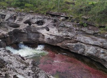 colombia/macarena-range/attraction/la-macarena-botanical-garden