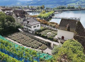 switzerland/lucerne/attraction/rosengarten-schlossberg-rapperswil