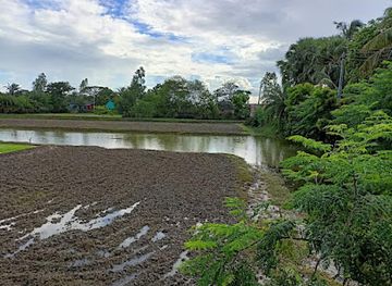 bangladesh/sundarbans-national-park/attraction/kumirmari-ecotourism-private-limited