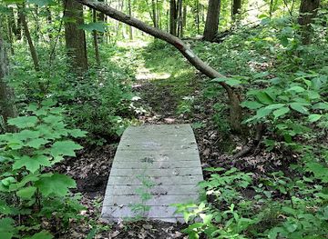 new-york/finger-lakes/attraction/kashong-conservation-area