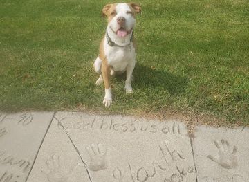 north-dakota/fargo/southpointe/attraction/celebrity-walk-of-fame