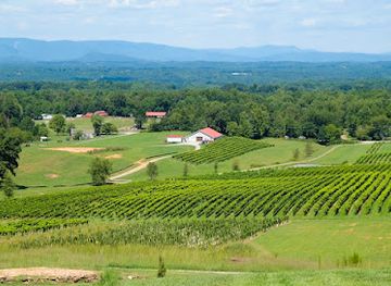north-carolina/foothills/attraction/piccione-vineyards