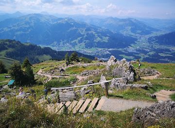 austria/kitzbuhel/attraction/alpine-flower-garden-kitzbuehel-horn