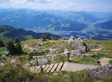 Alpine Flower Garden Kitzbuehel Horn