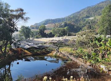 thailand/doi-inthanon/attraction/in-love-farm-doi-inthanon