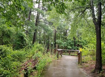 south-carolina/congaree-national-park/attraction/timmerman-trail