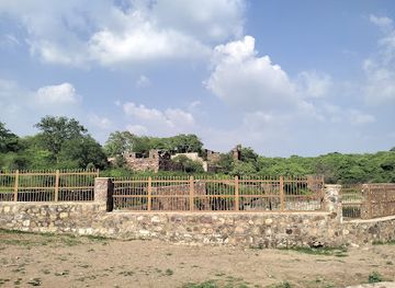 india/ranthambore/attraction/langoor-point