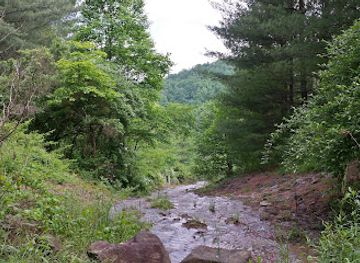 west-virginia/hatfield-mccoy-mountains/attraction/burning-rock-off-road-park