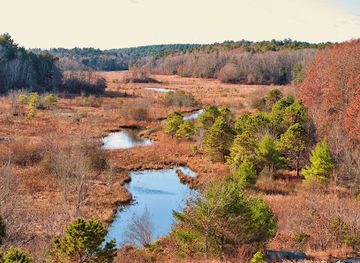 massachusetts/plymouth-county/attraction/mass-audubon-tidmarsh-wildlife-sanctuary
