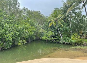 australia/cairns/palm-cove/attraction/south-palm-cove-estuary