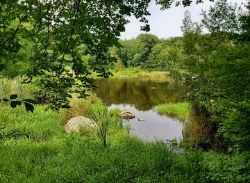 rhode-island/trustom-pond-national-wildlife-refuge/attraction/norman-bird-sanctuary