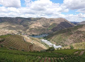 portugal/douro-valley/attraction/quinta-santa-eufemia