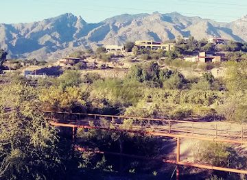 arizona/pima-county/attraction/rillito-river-park