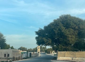 qatar/dukhan-beach/attraction/zeekrat-limestone