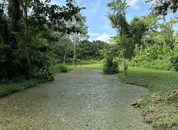 suriname/brokopondo-reservoir/attraction/peperpot-nature-park